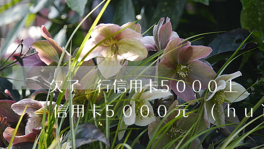 欠了銀行信用卡5000上門嗎，銀行催債：欠信用卡5000元，會(huì)有專人上門嗎？